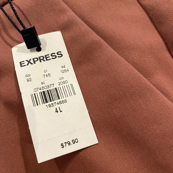 Express Columnist Dress Pants - Picture 2 of 4